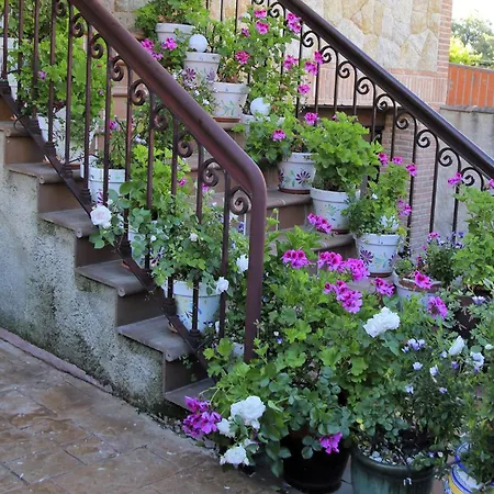 Casa Entre Rosales בית נופש קנדלדה