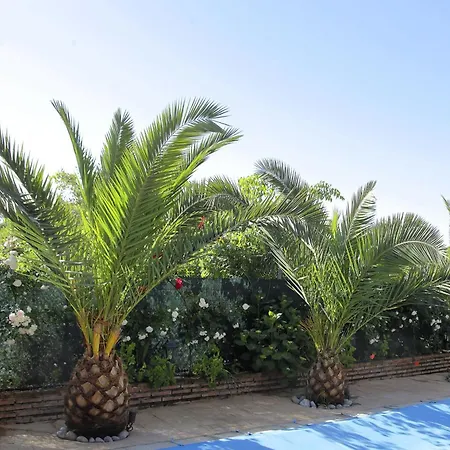 Casa Entre Rosales Candeleda