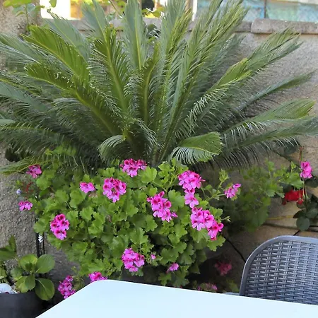 Casa de Férias Casa Entre Rosales *