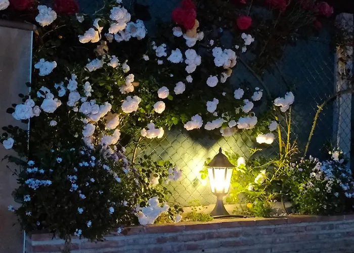 Hébergement de vacances Casa Entre Rosales