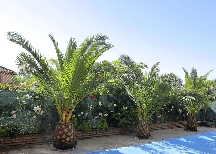 Casa Entre Rosales Candeleda